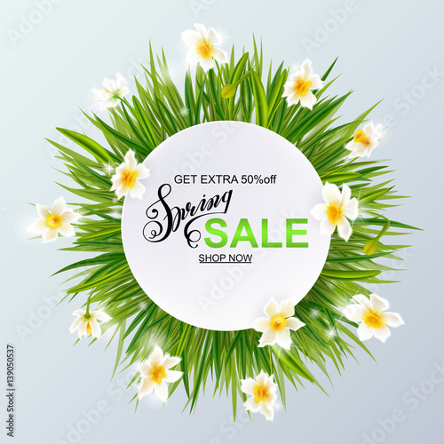 Advertisement about the spring sale on background with grass and daffodil narcissus flowers.
