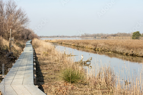 Scenic landscape of nature reserve park of river mouth of Isonzo