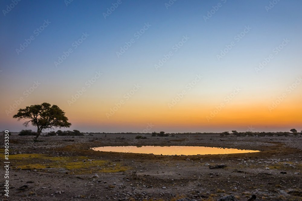 Okaukuejo waterhole (Okaukuejoi camp) in Etosha national park at sunset