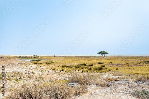 Etosha Pan and the open savanna plains of Etosha national park near Salvadora waterhole in the dry season. Namibia, Africa. photo