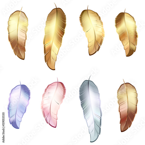 Golden Feather decorative bird on a black background illustration white background