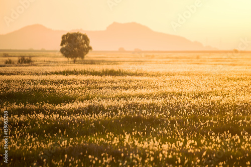 한국 우음도 가을날의 오후 풍경