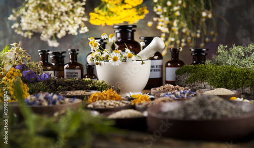 Fresh medicinal  healing herbs on wooden