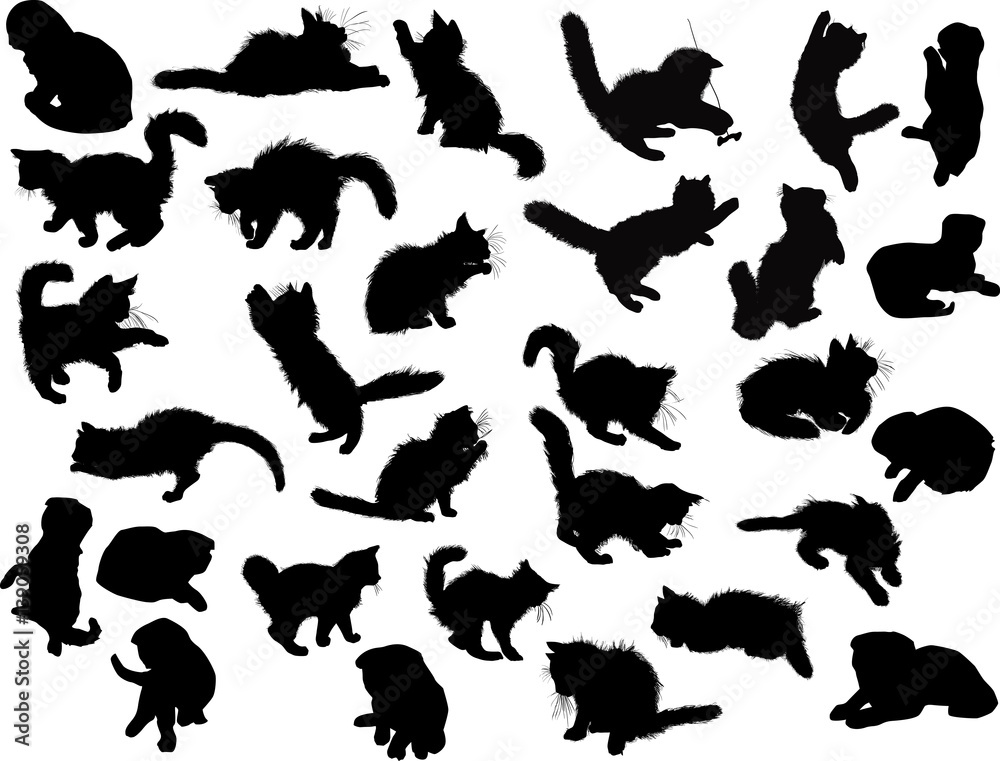 thirty black kittens isolated collection