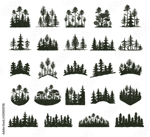 Photo Tree outdoor travel black silhouette coniferous natural badges, tops pine spruce branch cedar and plant leaf abstract stem drawing vector illustration