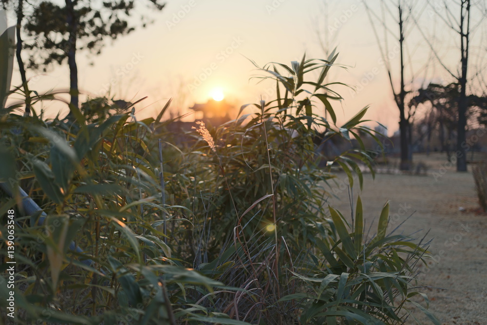 sunset sunset