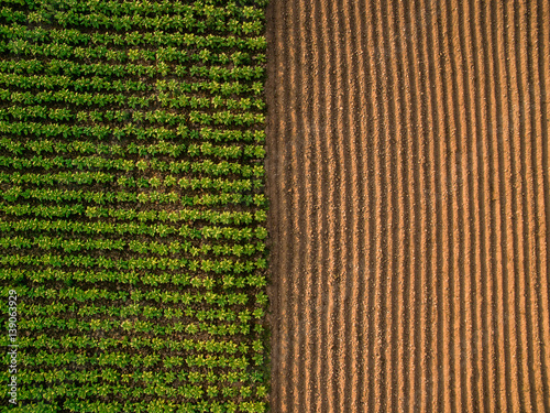 Aerial view ; Rows of soil before planting.Furrows row pattern in a plowed field prepared for planting crops in spring.Horizontal view in perspective. photo