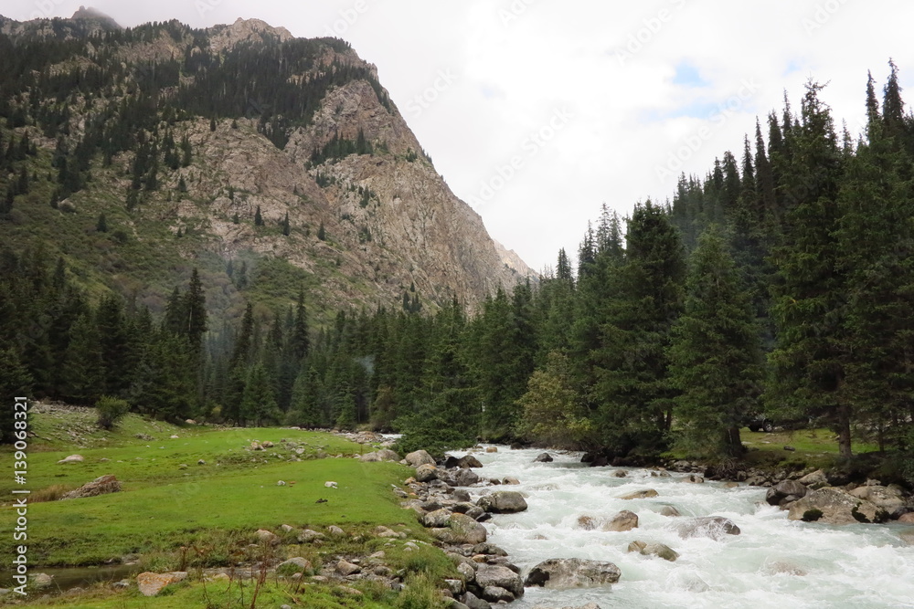Fototapeta premium River in the mountains