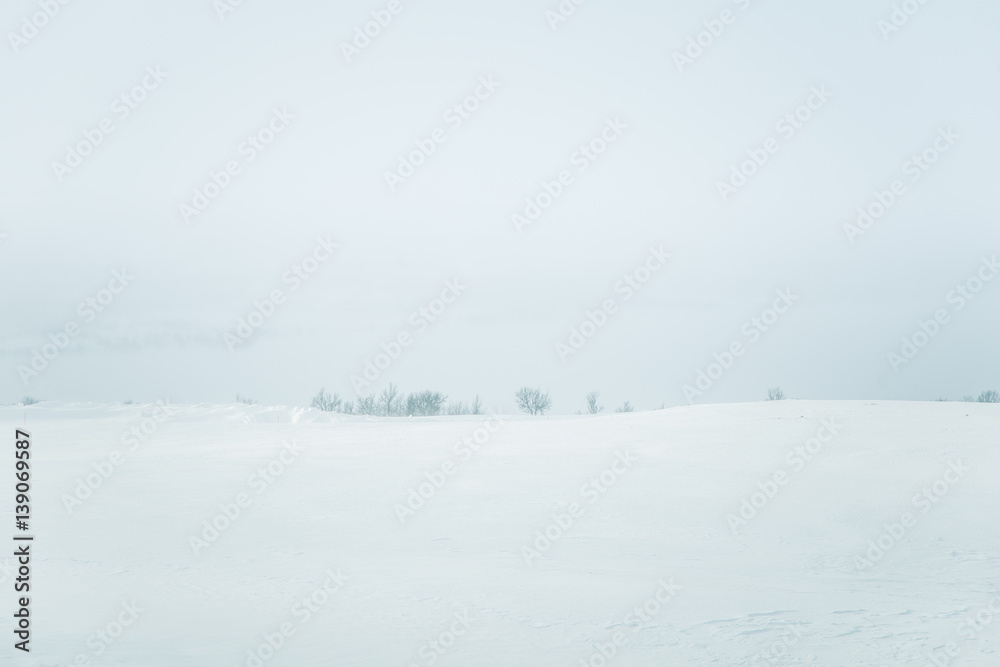 A beautiful, minimalist landscape of snowy Norwegian fields with trees. Clean, light, high key, decorative look. A beautiful, minimalist landscape of snowy Norwegian fields with trees. Clean, light, high key, decorative look.