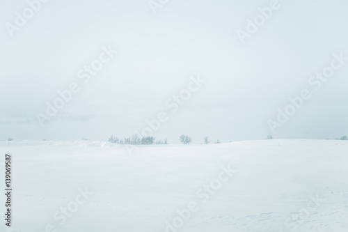 A beautiful, minimalist landscape of snowy Norwegian fields with trees. Clean, light, high key, decorative look.