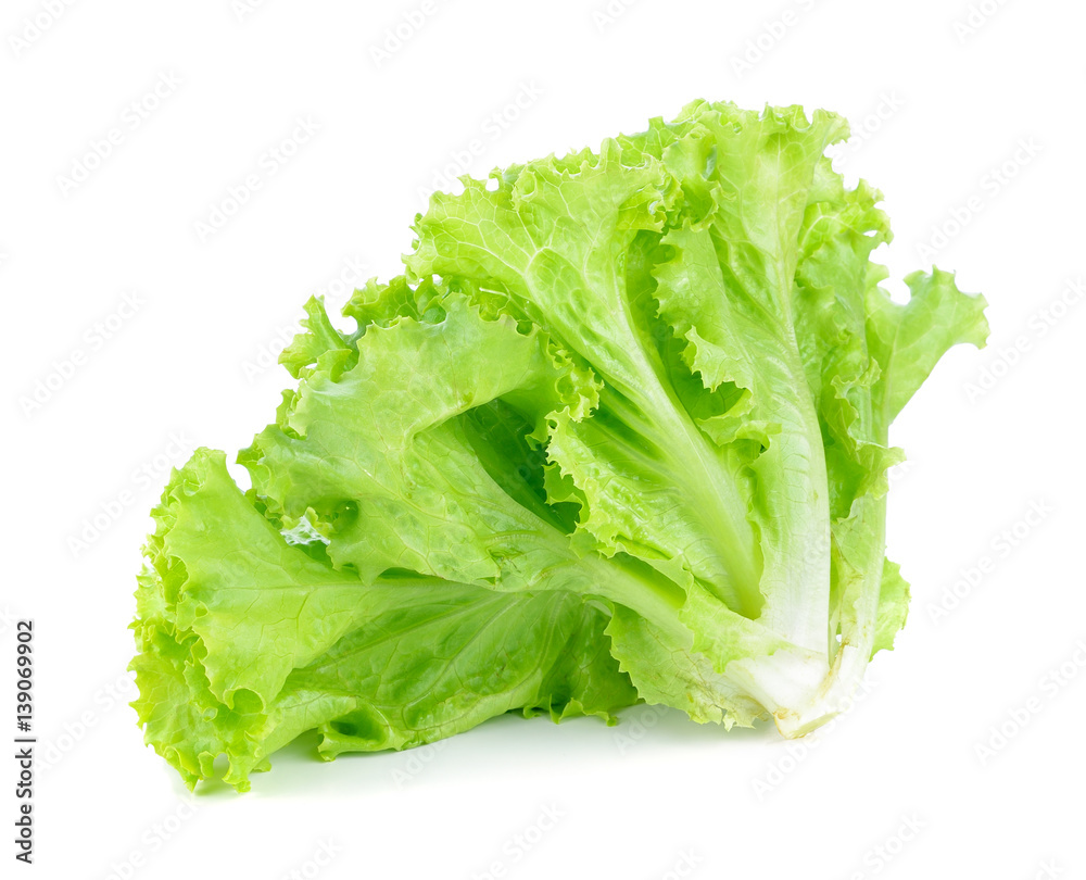 Fresh lettuce isolated on white background Fresh lettuce isolated on white background