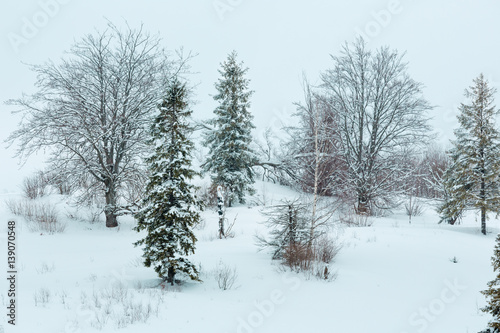 Winter Carpathian Mountains landscape.