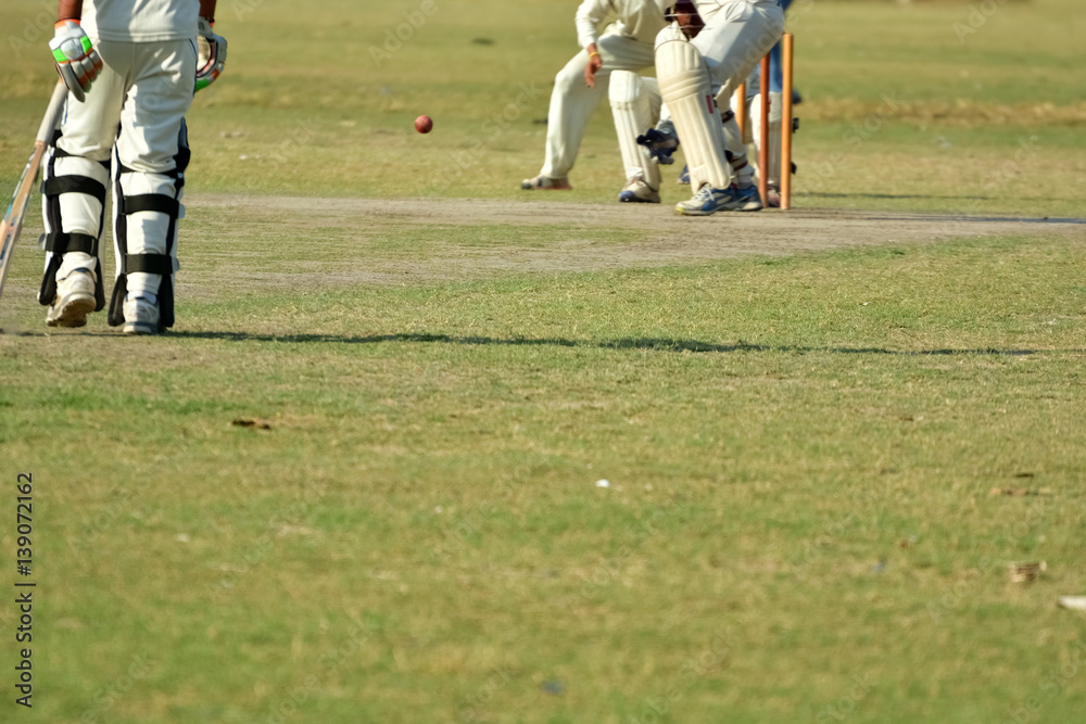 Obraz premium Boys are playing cricket