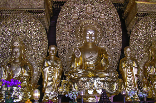 buddha statue at Chi Lin temple Hongkong