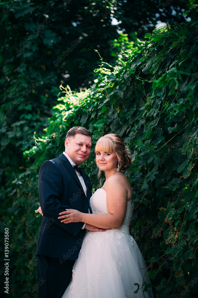 bride and groom on the background of the garden fence bride and groom on the background of the garden fence