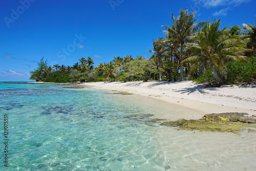French Polynesia tropical beach shore with trees on the south of Huahine island, Pacific ocean 