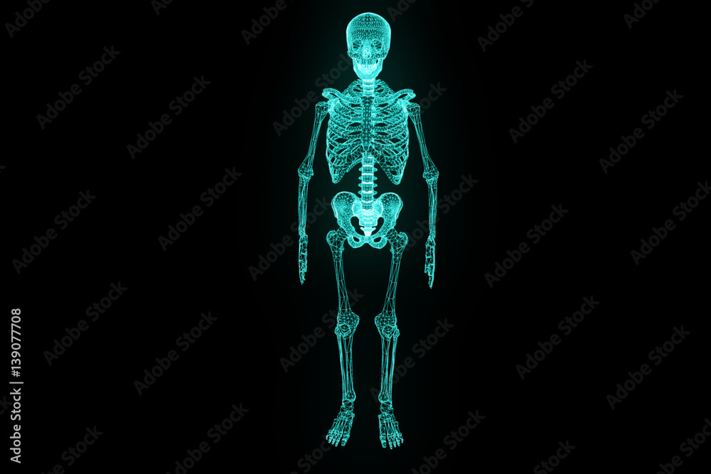 Human Skeleton Wireframe Hologram in Motion. Nice 3D Rendering
