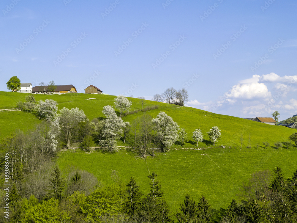 Undulating landscape Mostviertel farm on a hill, Austria, Lower