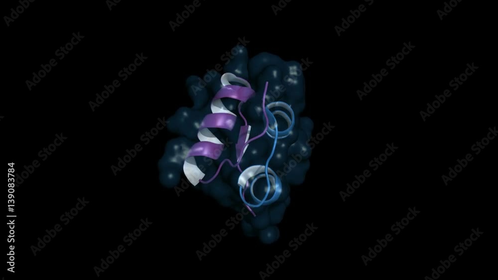 Insulin monomer, rotating cartoon model with semi-transparent surface, seamless loop
