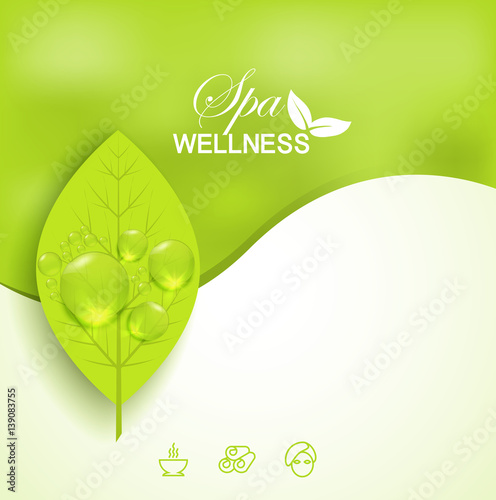 Wellness spa treatment, vector banner green background information