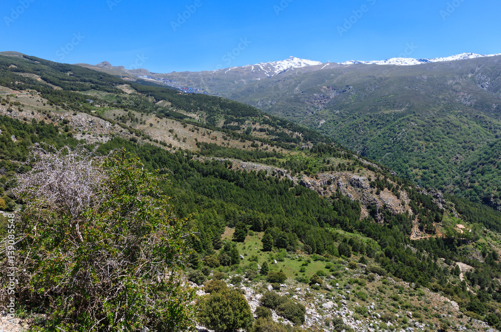 Fototapeta premium Sierra Nevada National Park, Spain.