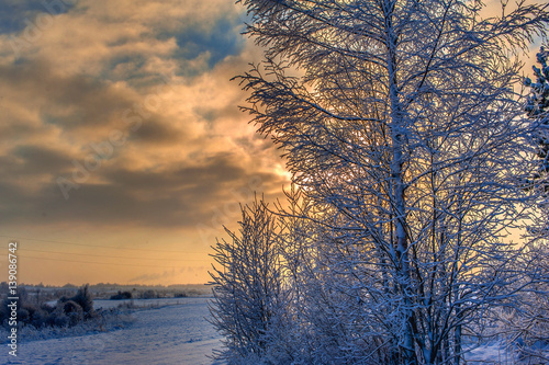 Winter evening photo