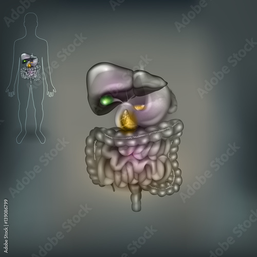 Digestive system abstract grey mesh background