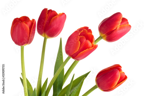 Fototapeta Naklejka Na Ścianę i Meble -  Bouquet of red tulips.