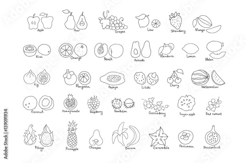 Vector set of line hand drawn fruit and berries icons. Doodle set of different cut fruits and berries. Healthy food. Exotic fruits. Collection of fruits and berries