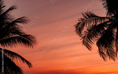Twilight sunset with coconut tree at the beach. background.