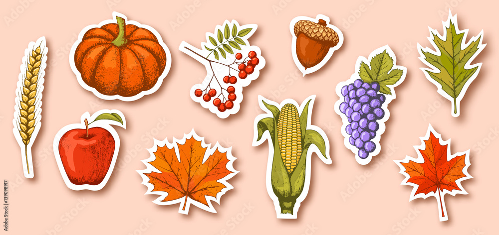 Autumn Seasonal Icons Signs Collection Isolated on Beige Autumn Seasonal Icons Signs Collection Isolated on Beige
