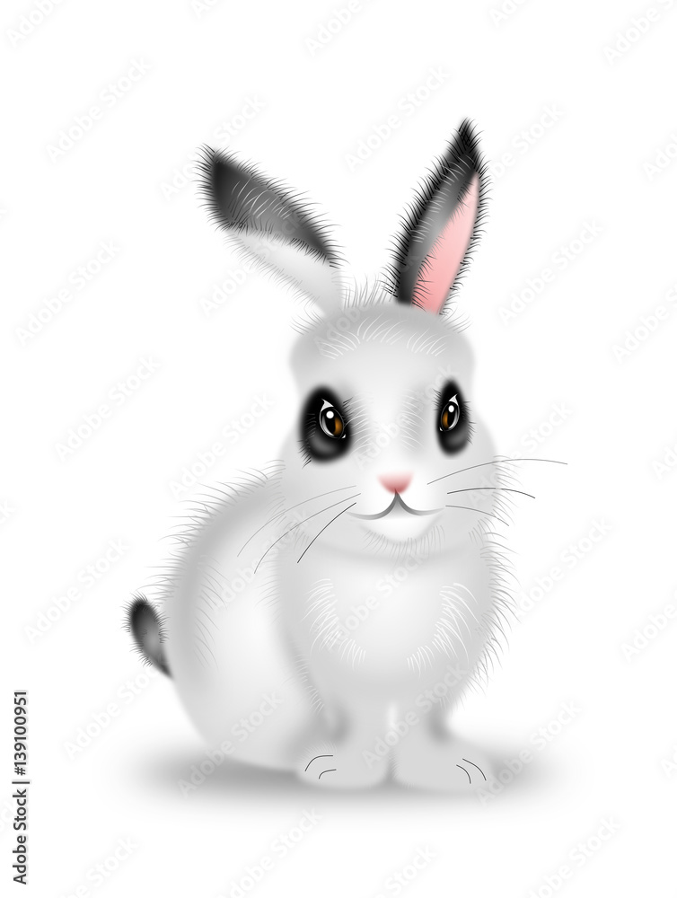 Obraz premium Cute rabbit illustration