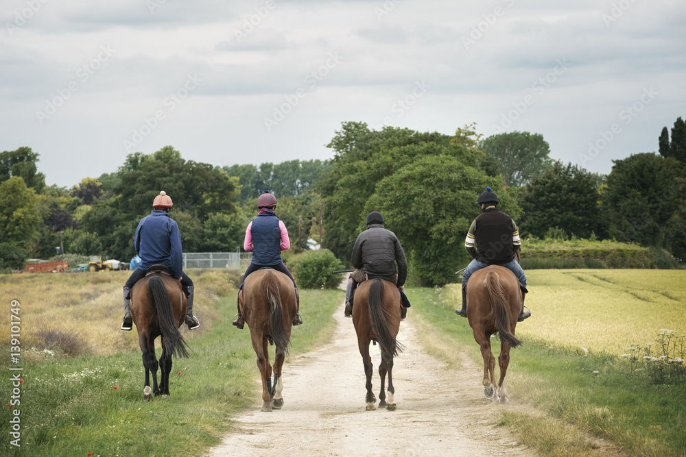 Group of riders on thoroughbred horses riding along rural path Group of riders on thoroughbred horses riding along rural path