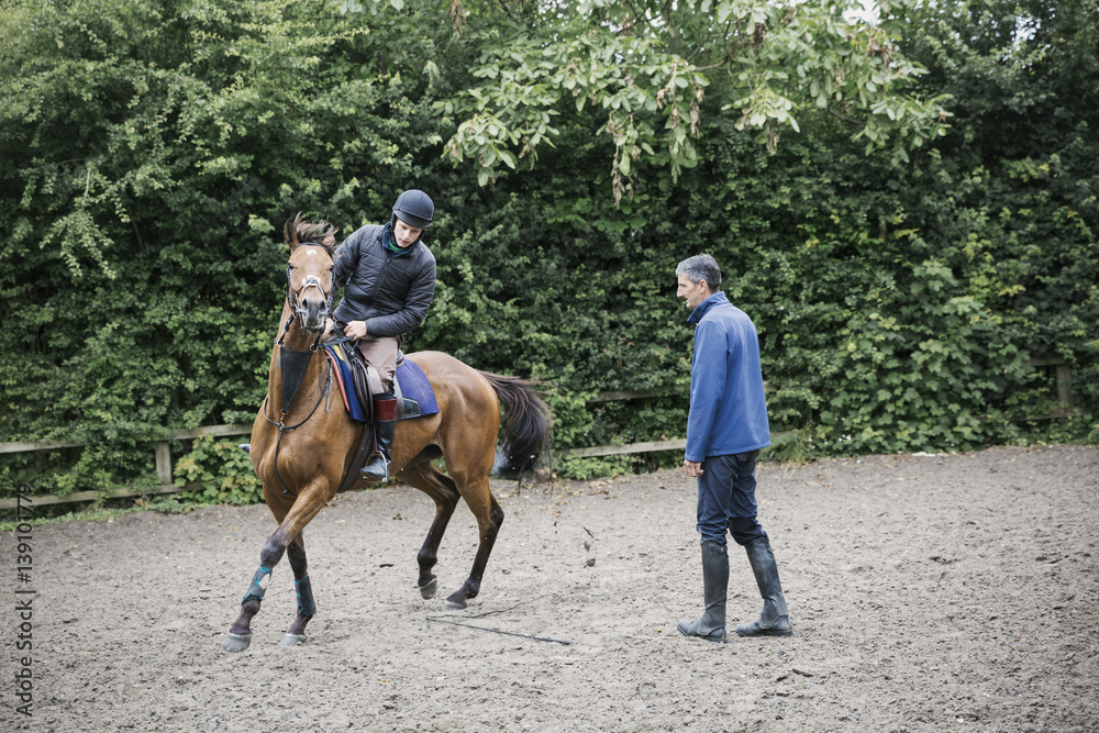 Man riding a brown horse in a paddock. Man riding a brown horse in a paddock.