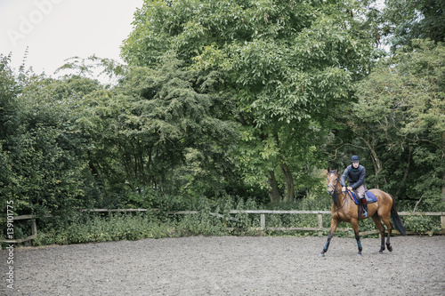 Man riding a brown horse in a paddock. photo