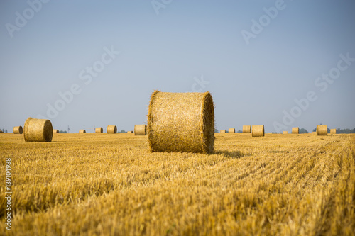 Rolls of haystacks on the field. Summer farm scenery with haystack on the Background of beautiful sunset. Agriculture Concept.Harvest concept