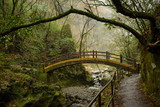 View of an ancient Japanese arch bridge in a rainy valley forest. Takachiho, Miyazaki, Japan. Nature and architecture concept.