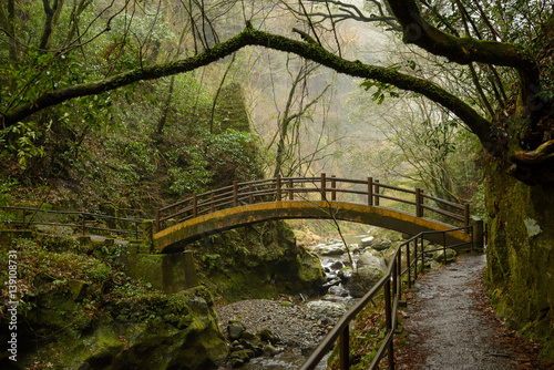 View of an ancient Japanese arch bridge in a rainy valley forest. Takachiho, Miyazaki, Japan. Nature and architecture concept. © substancep