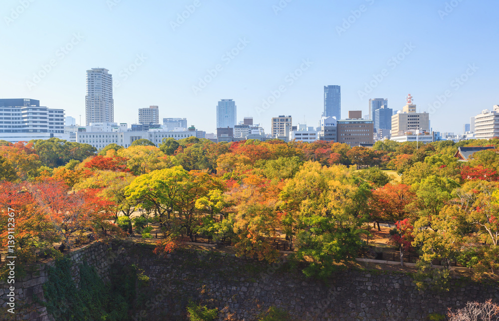 Obraz premium Aerial view of Osaka cityscape in autumn season at Osaka, Japan