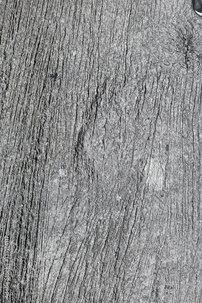 Background texture of gray concrete texture Background texture of gray concrete texture