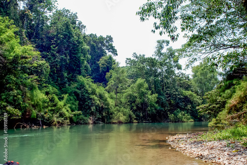 Landscape in Palenque