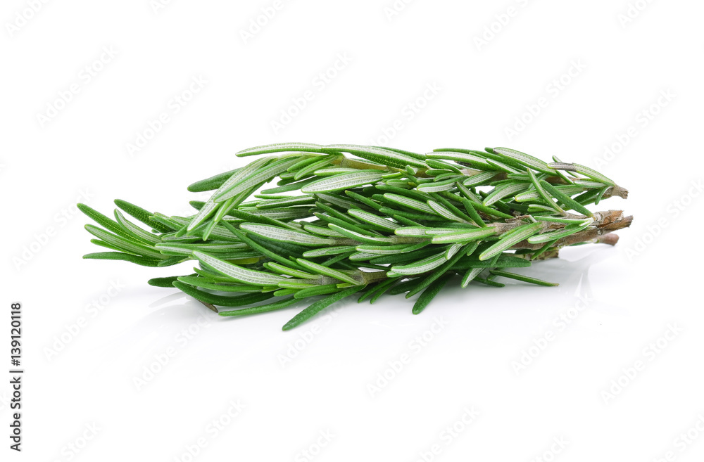 rosemary isolated on white background rosemary isolated on white background
