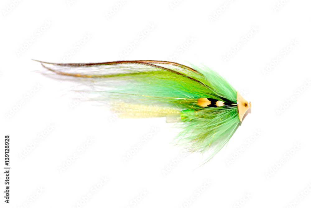Obraz premium Fly fishing