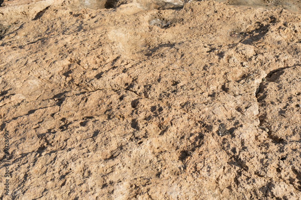 Stone background and texture Stone background and texture