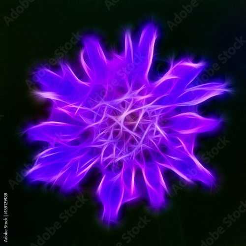 Neon purple flower on a dark background. Abstract flower built with using fractals