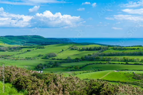 Quadro su tela The Dorset Countryside
