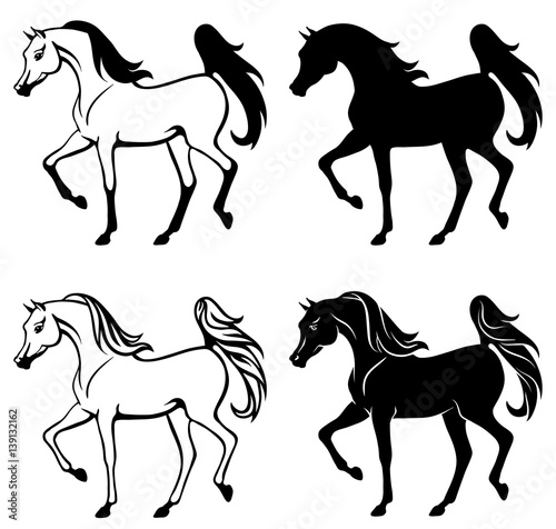 Outline and silhouette illustration of beautiful arabian horse