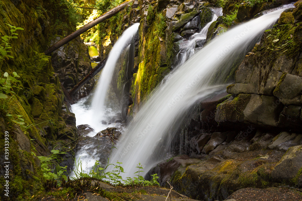 Fototapeta premium Twin Waterfalls in Washington Forest