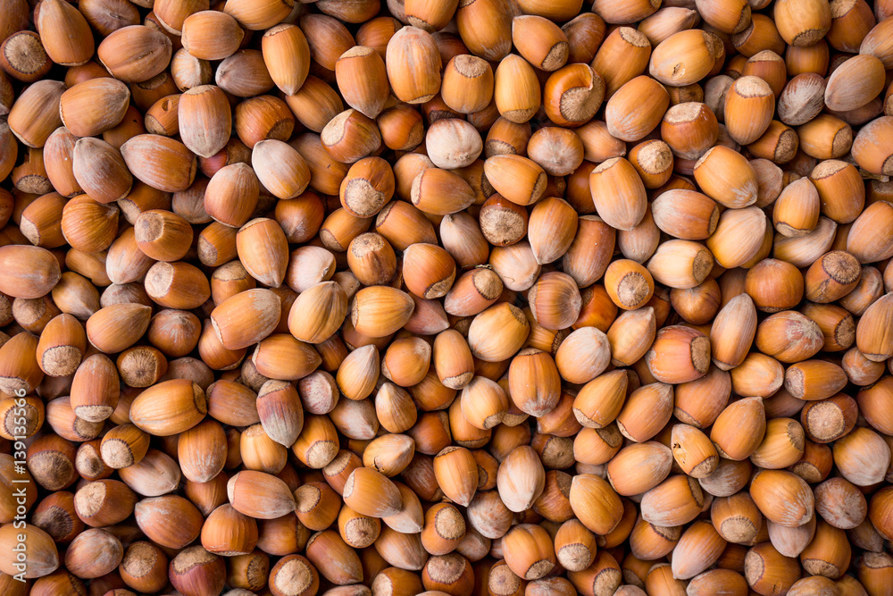 hazelnuts background. Background from wood nuts hazelnuts background. Background from wood nuts