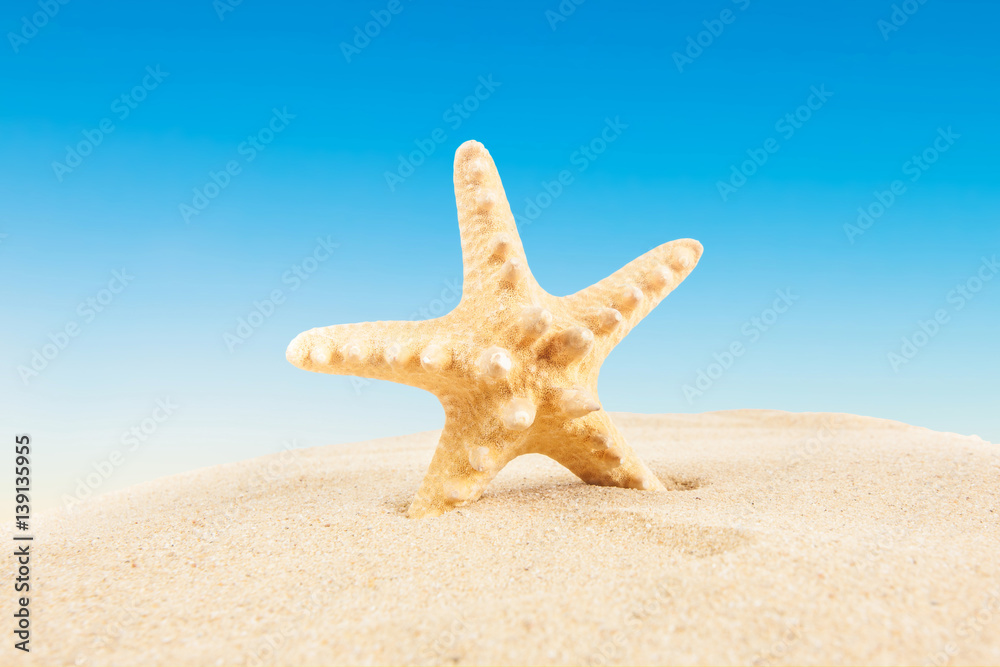 Summer vacation. Travel concept background Summer vacation. Travel concept background